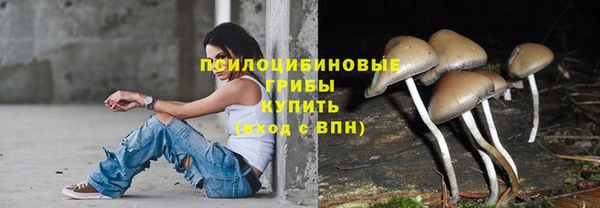 ПСИЛОЦИБИНОВЫЕ ГРИБЫ Алексеевка