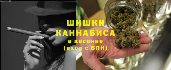 индика Алзамай