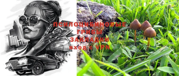 индика Алзамай