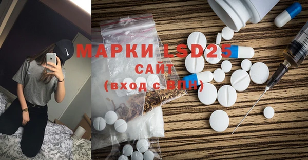 индика Алзамай