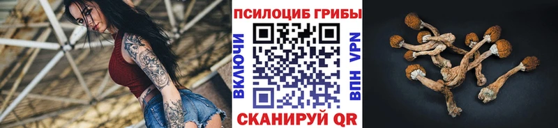 Галлюциногенные грибы мухоморы Жуковский